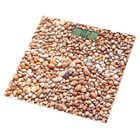 SENCOR SBS2302SN